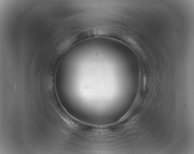 X0000062650401200512211237