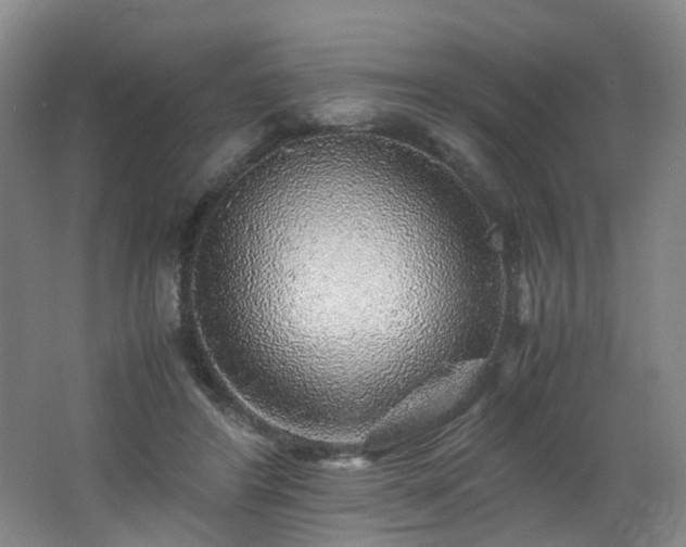 X0000062650404200512211237