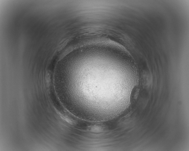 X0000062650412200512211236