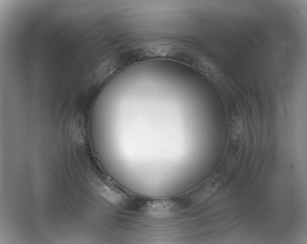 X0000062650414200512211236
