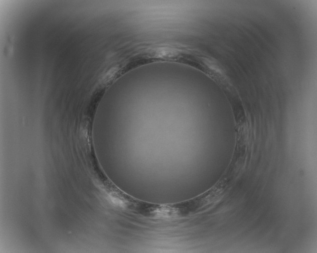 X0000062650415200512211236