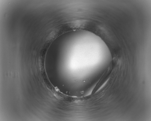 X0000062650416200512211236