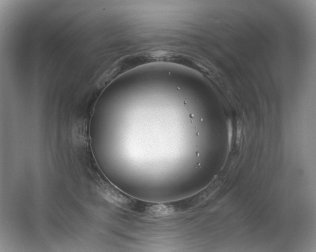 X0000062650421200512211236