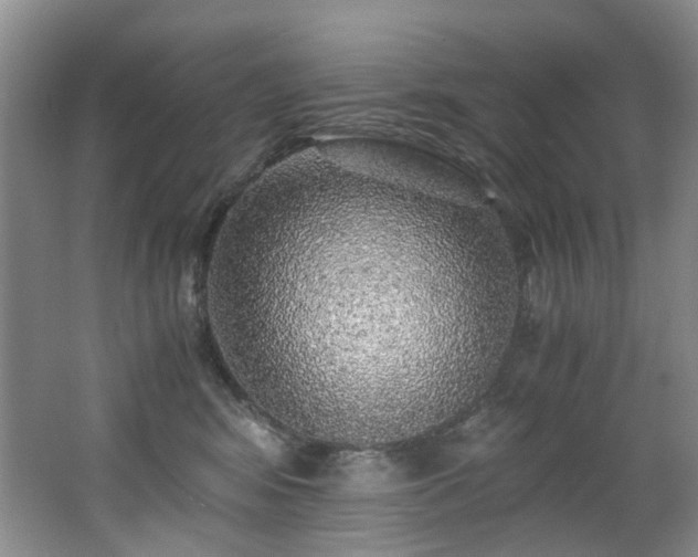 X0000062650424200512211236