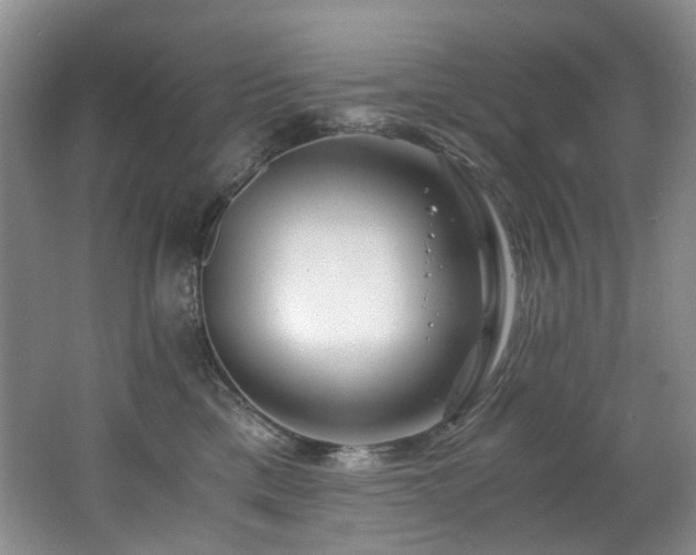 X0000062650425200512211236