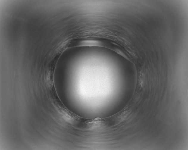 X0000062650428200512211236