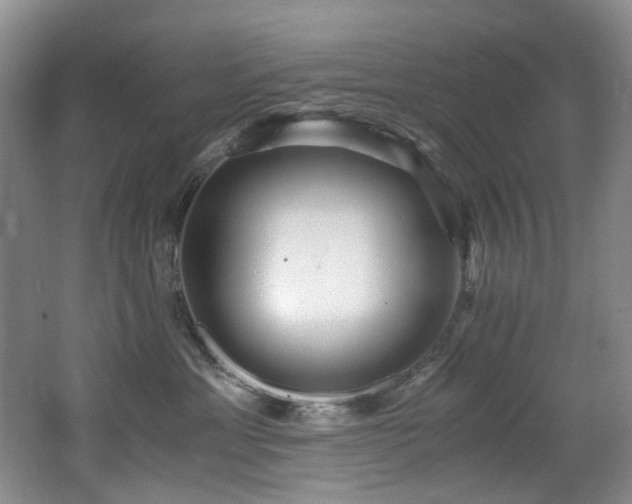 X0000062650429200512211236