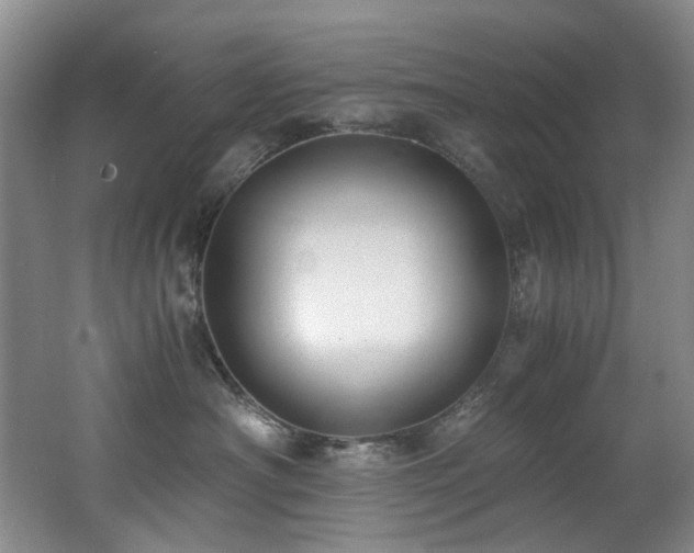 X0000062650430200512211236