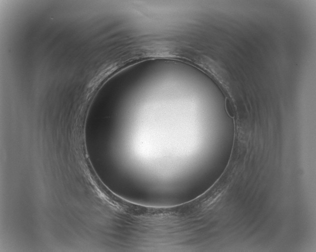 X0000062650433200512211235