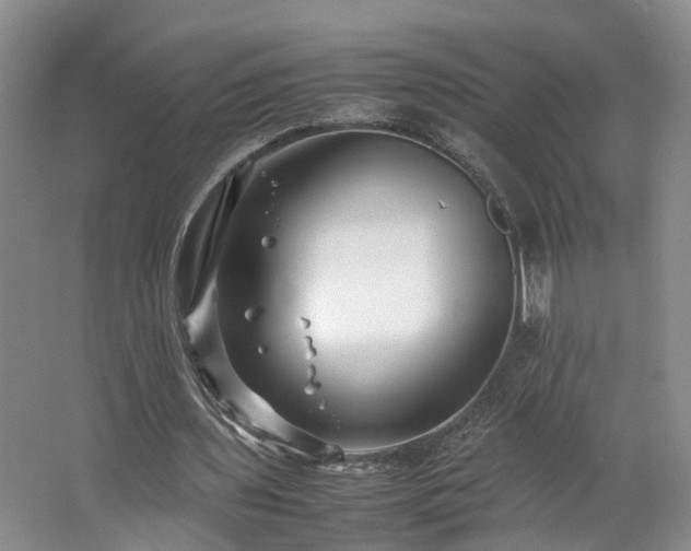 X0000062650435200512211235