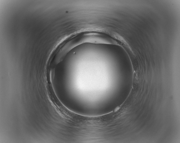X0000062650436200512211235