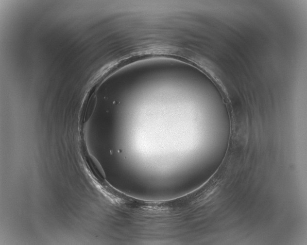 X0000062650437200512211235