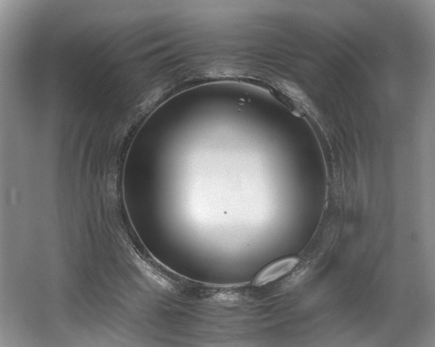 X0000062650441200512211235