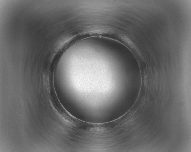 X0000062650444200512211235