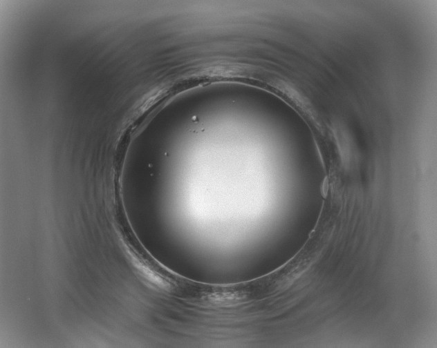 X0000062650445200512211235