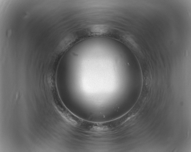 X0000062650455200512211236