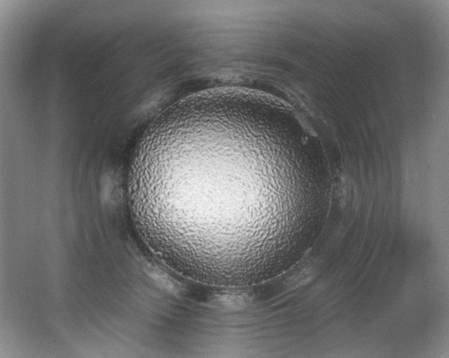 X0000062650466200512211236