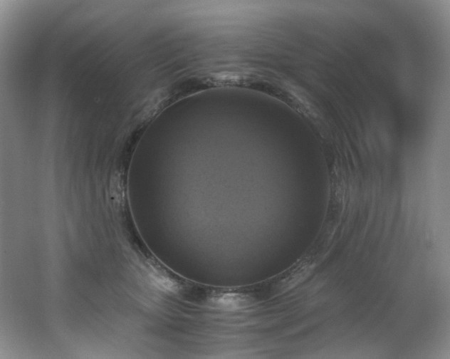 X0000062650467200512211236