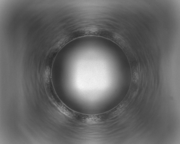 X0000062650468200512211236