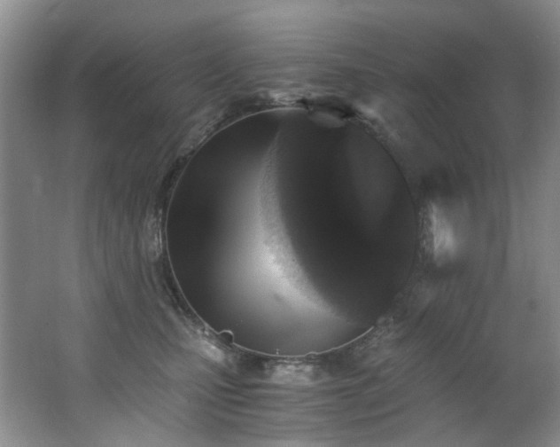 X0000062650471200512211236