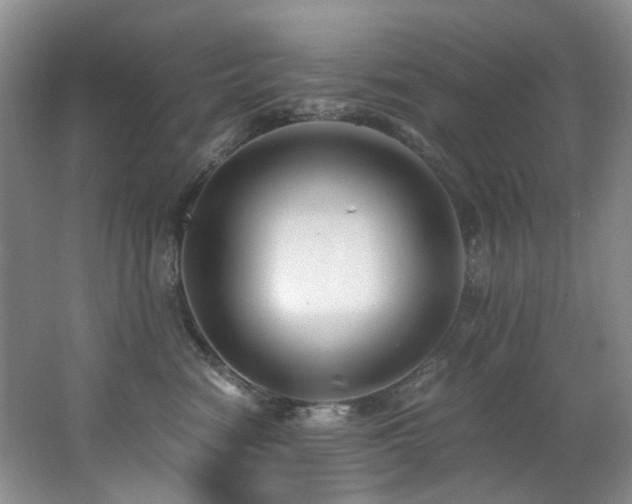 X0000062650474200512211236