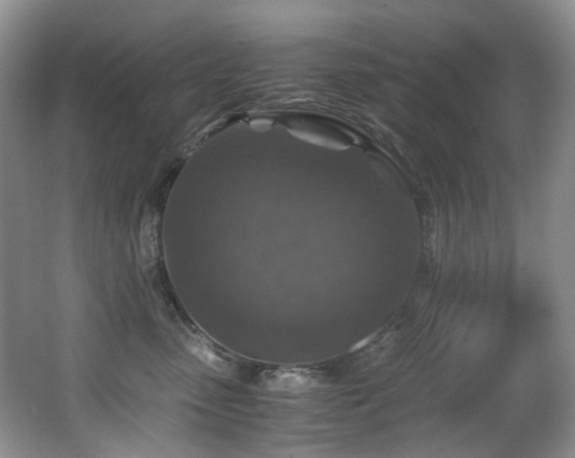 X0000062650475200512211236