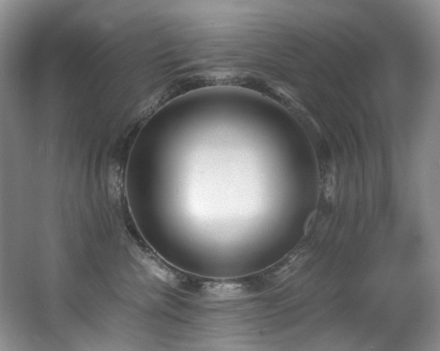 X0000062650476200512211236
