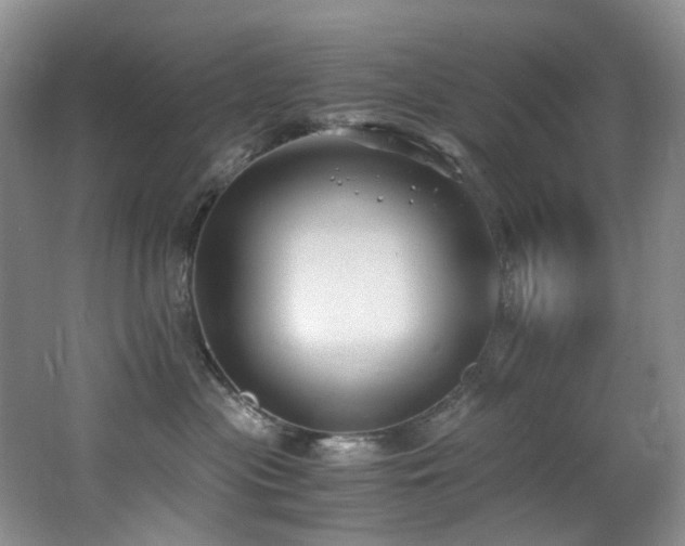X0000062650477200512211236