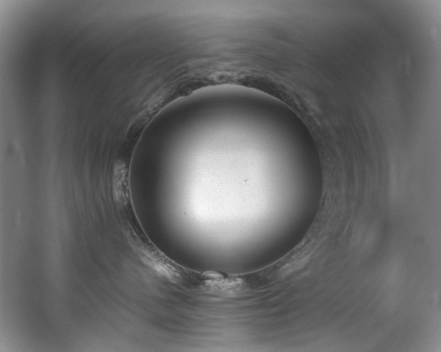 X0000062650480200512211236
