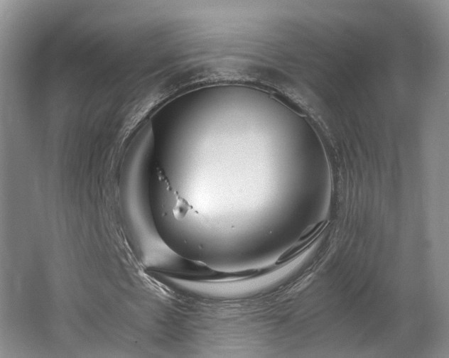 X0000062650481200512211235