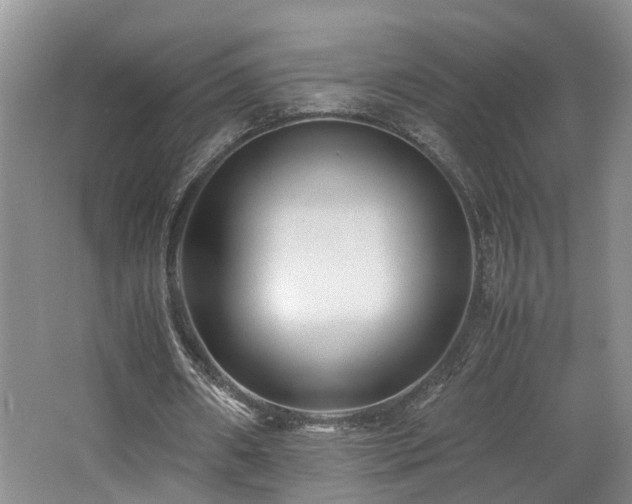 X0000062650482200512211235