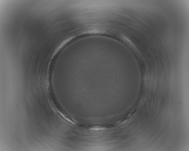 X0000062650484200512211235