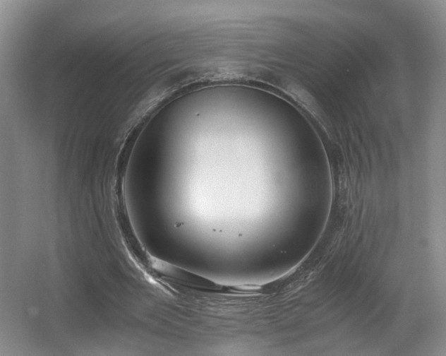 X0000062650485200512211235