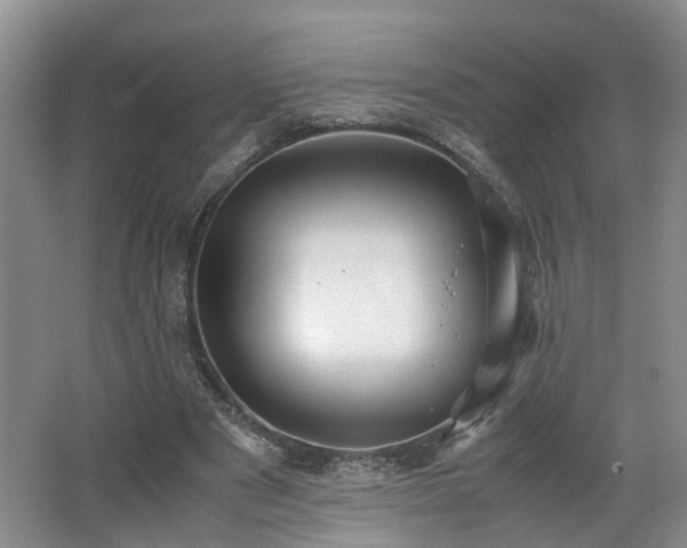 X0000062650489200512211235