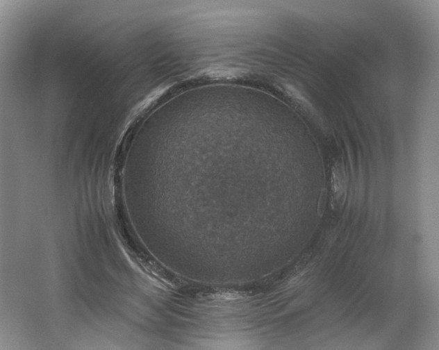X0000062650492200512211235