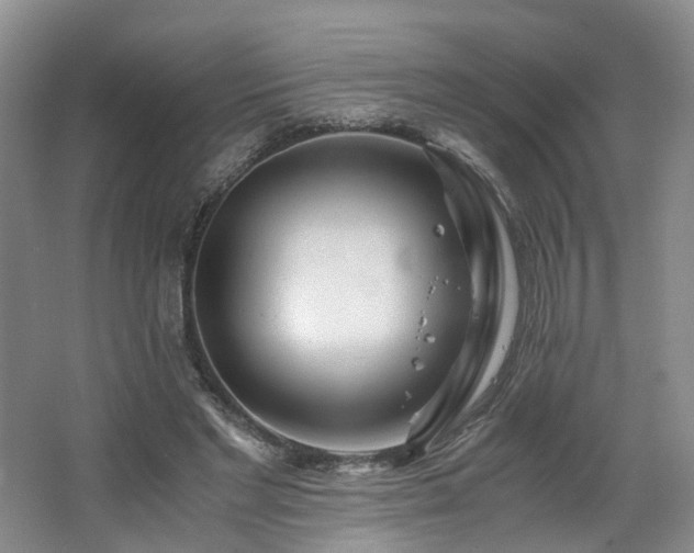 X0000062650493200512211235