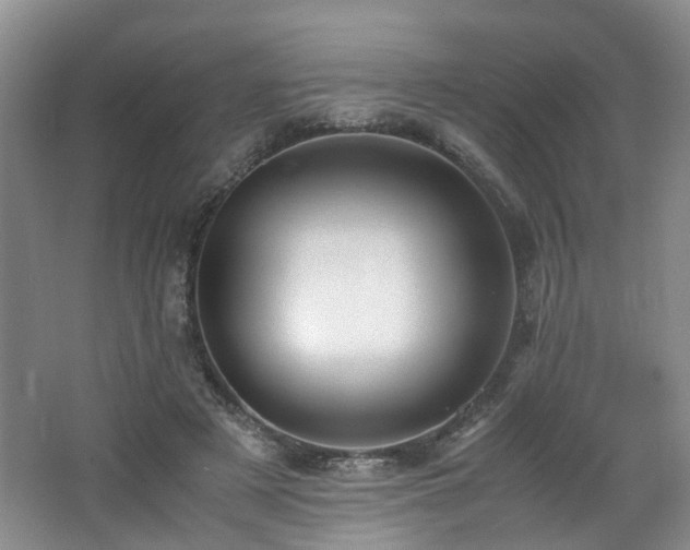 X0000062650497200512211235