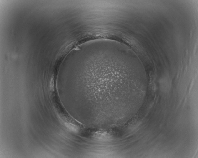 X0000062650502200512211235