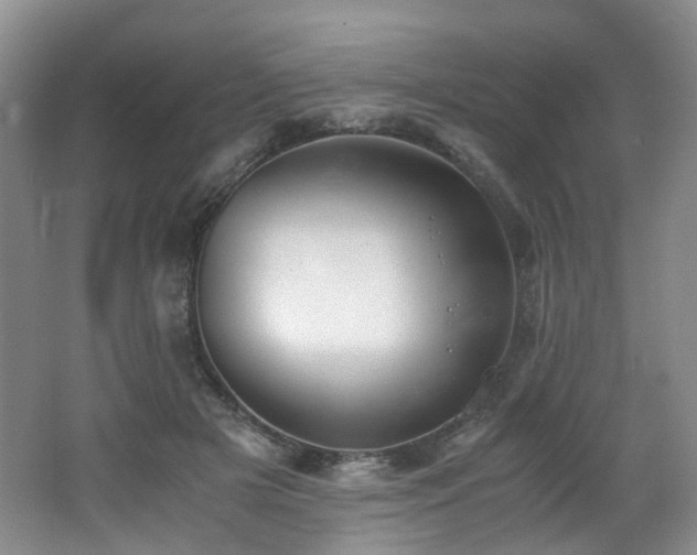 X0000062650505200512211235