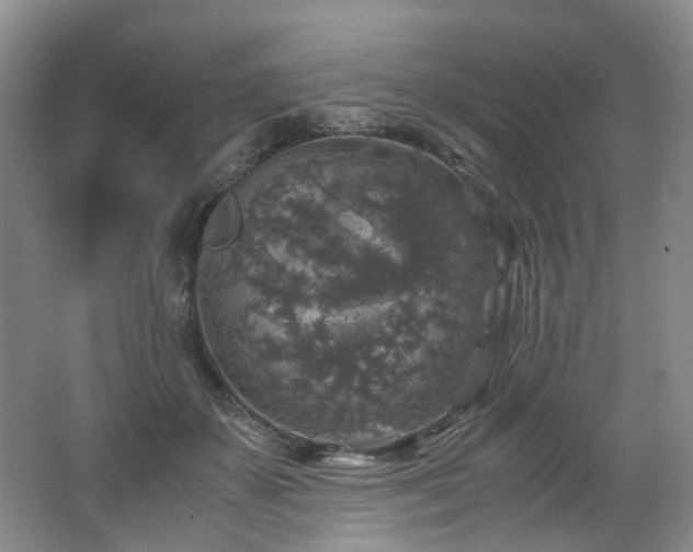 X0000062650507200512211235