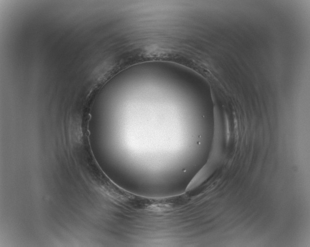 X0000062650508200512211235