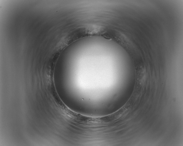 X0000062650510200512211235
