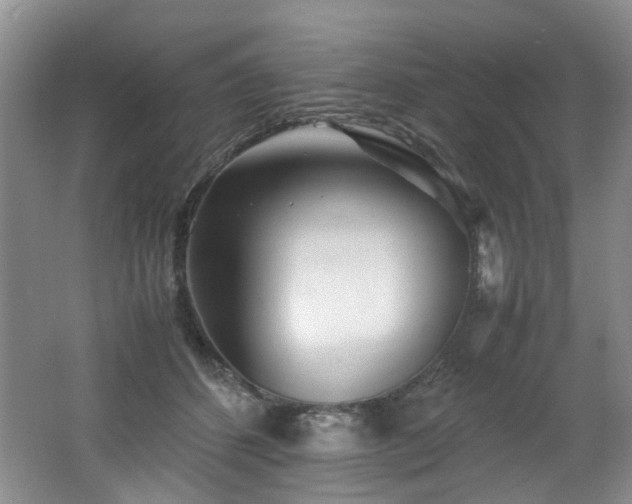 X0000062650512200512211235