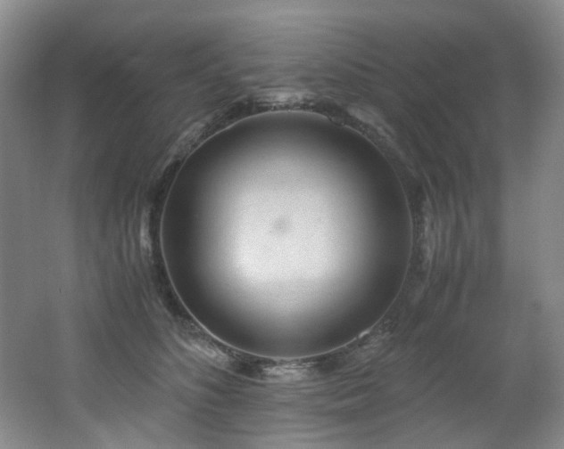 X0000062650516200512211235