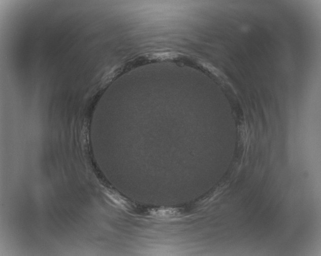 X0000062650517200512211235