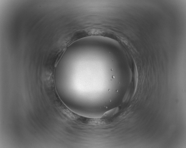 X0000062650521200512211234
