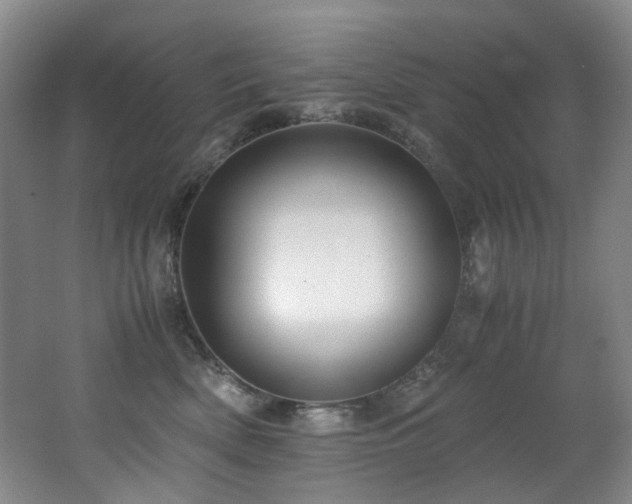 X0000062650522200512211234