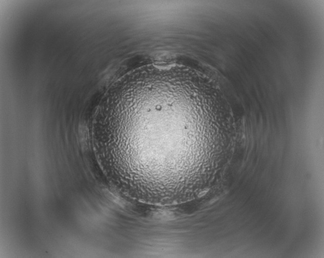X0000062650523200512211234