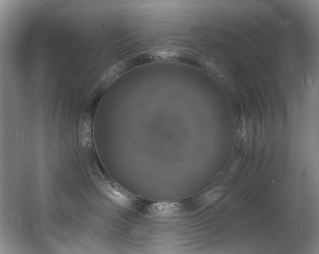 X0000062650526200512211234