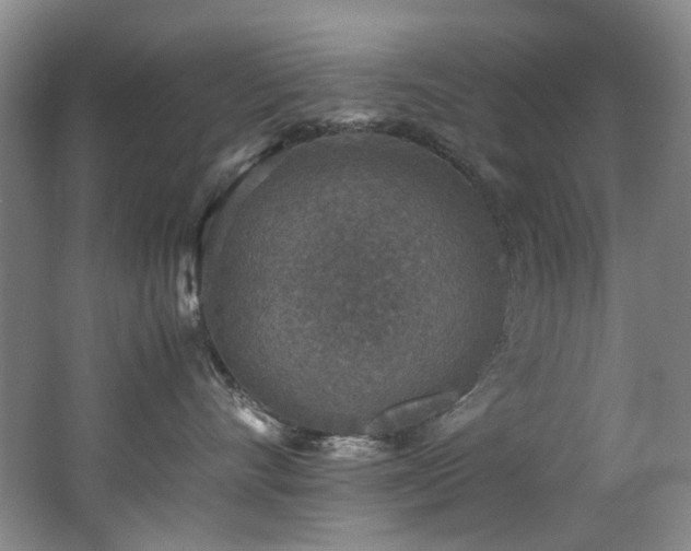 X0000062650528200512211234